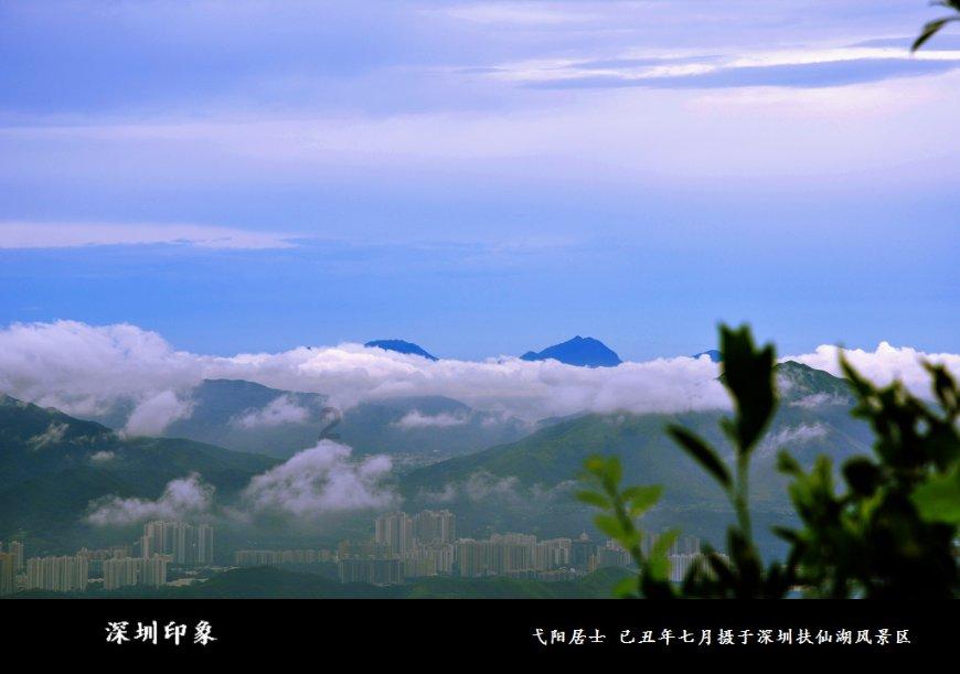 小长颈鹿逃离